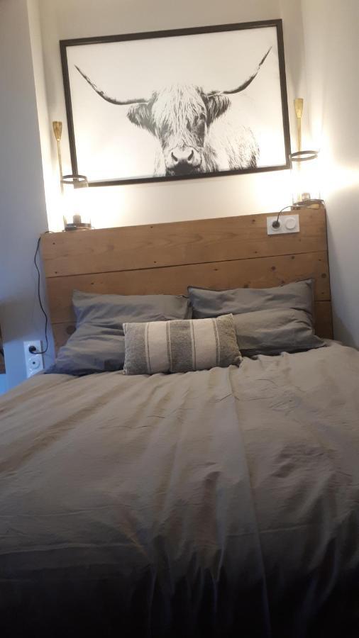 Le Cosy Rock / Rent4Night Grenoble Apartment Bagian luar foto