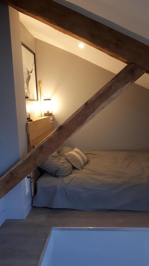 Le Cosy Rock / Rent4Night Grenoble Apartment Bagian luar foto