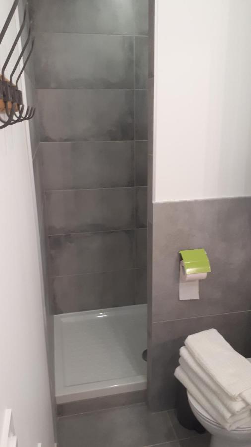 Le Cosy Rock / Rent4Night Grenoble Apartment Bagian luar foto
